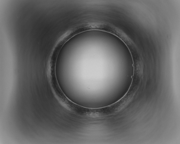 X0000113210730200909101131