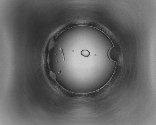 X0000113210732200909101131