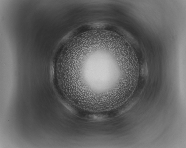 X0000113210733200909101131