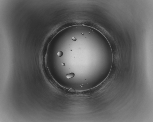 X0000113210734200909101131