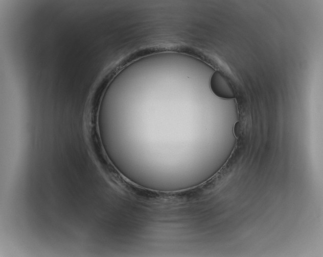 X0000113210736200909101131