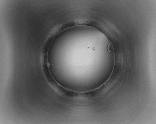 X0000113210738200909101131