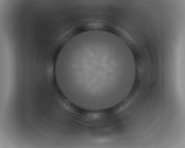 X0000113210745200909101132