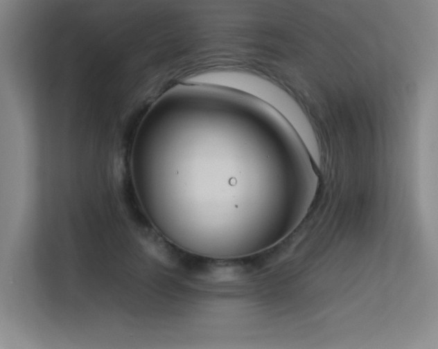 X0000113210746200909101132