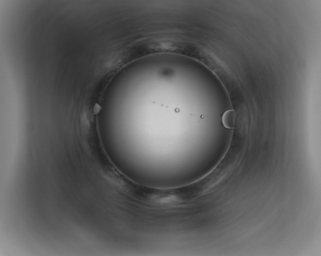 X0000113210747200909101132