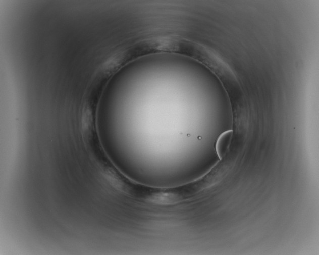 X0000113210748200909101132