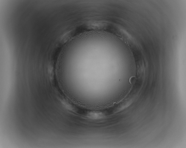 X0000113210749200909101132