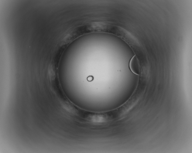 X0000113210751200909101132