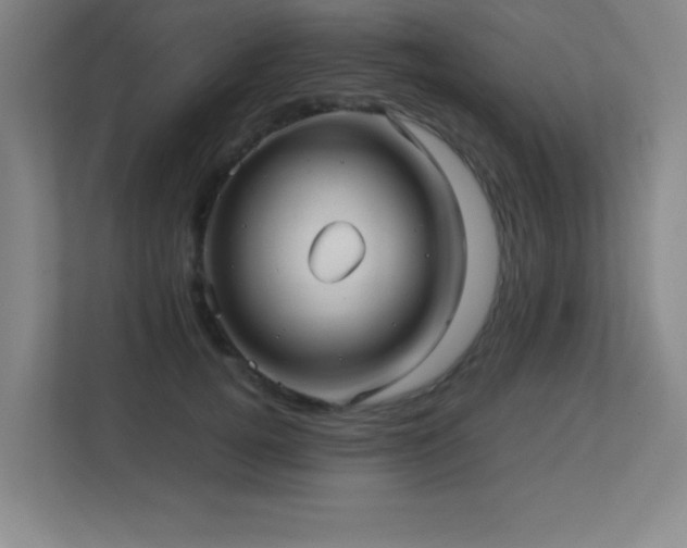 X0000113210752200909101132