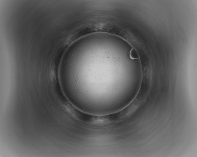 X0000113210754200909101132