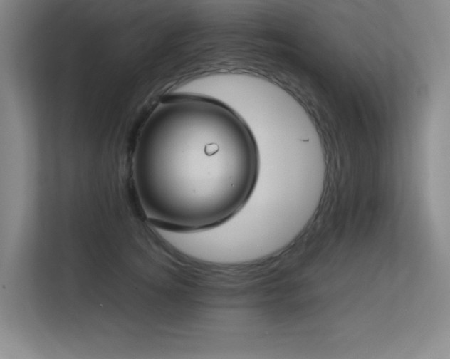 X0000113210756200909101132