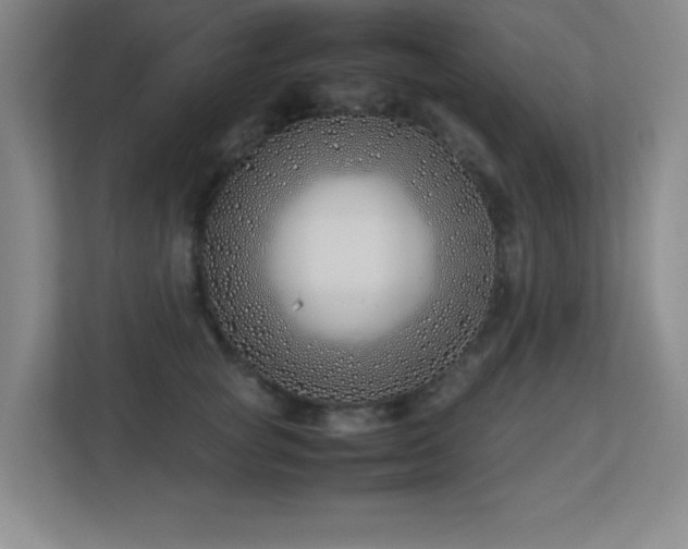 X0000113210757200909101132