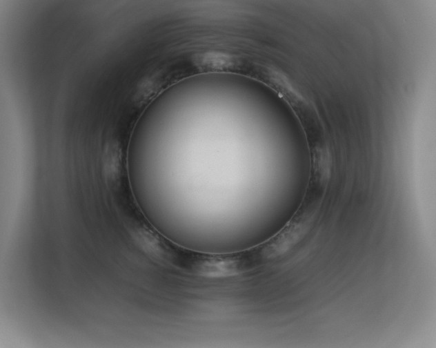 X0000113210760200909101132