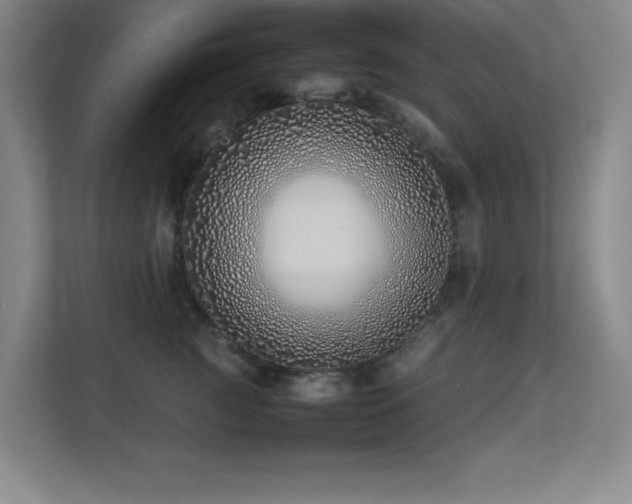 X0000113210761200909101132