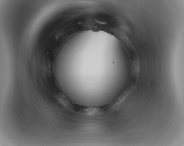 X0000113210762200909101132