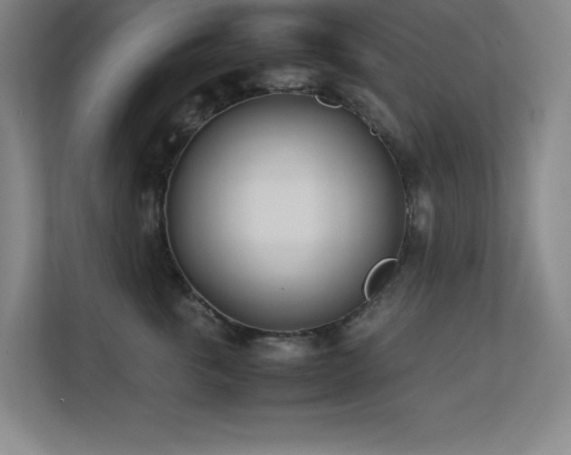 X0000113210763200909101132