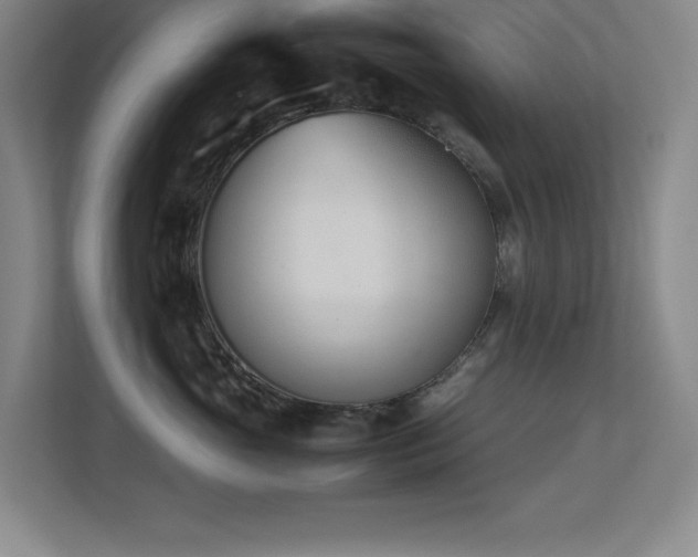 X0000113210765200909101132