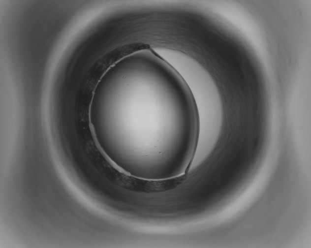 X0000113210766200909101132