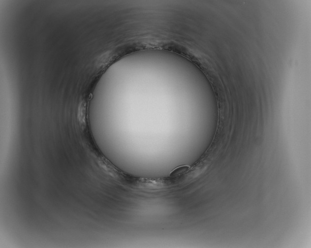 X0000113210768200909101132