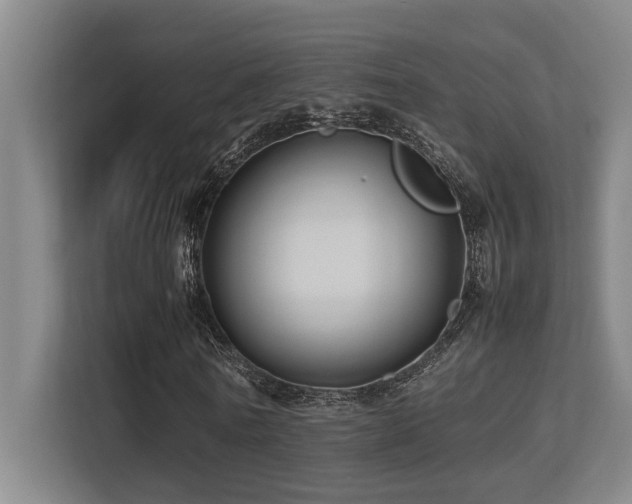 X0000113210770200909101131