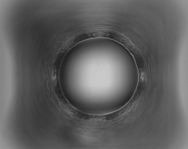 X0000113210771200909101131