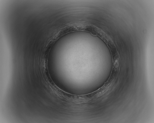 X0000113210772200909101131