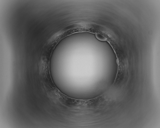 X0000113210773200909101131