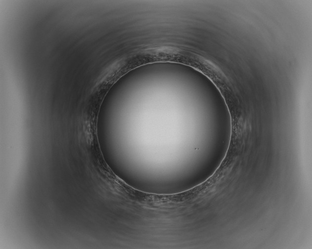 X0000113210774200909101131