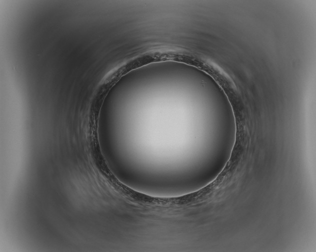 X0000113210775200909101131