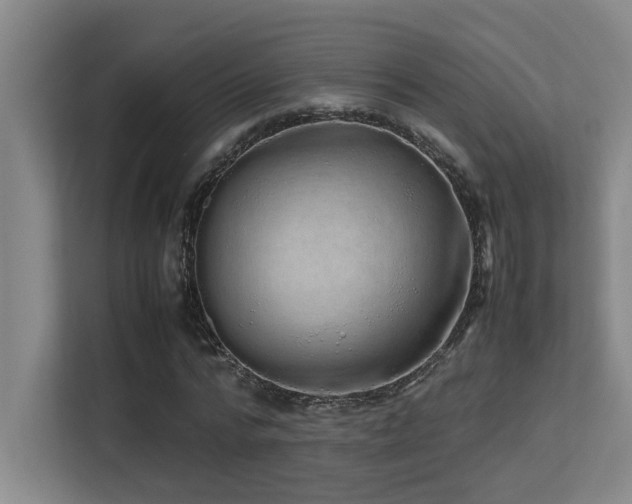 X0000113210776200909101131