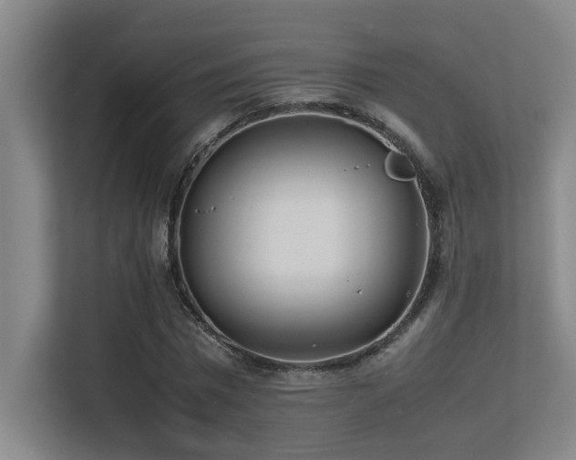 X0000113210777200909101131