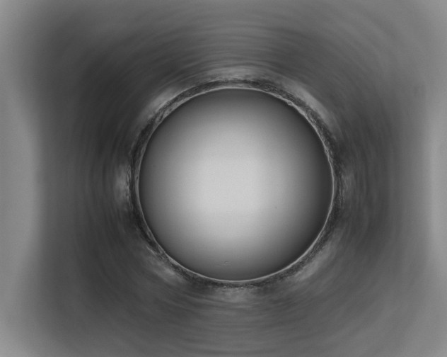 X0000113210778200909101131