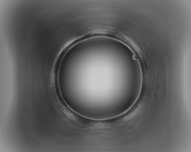 X0000113210779200909101131