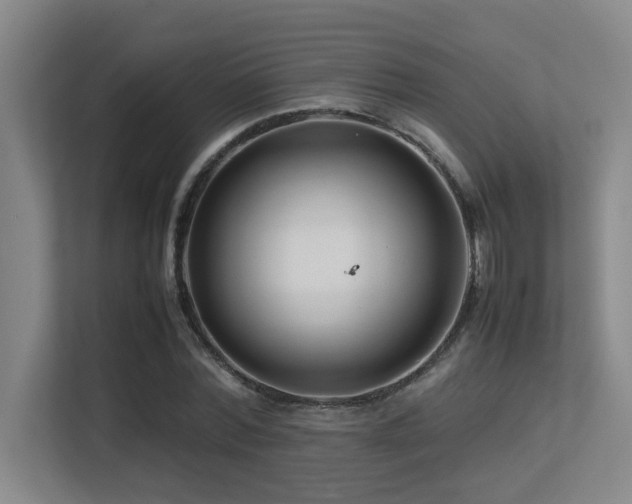 X0000113210780200909101131