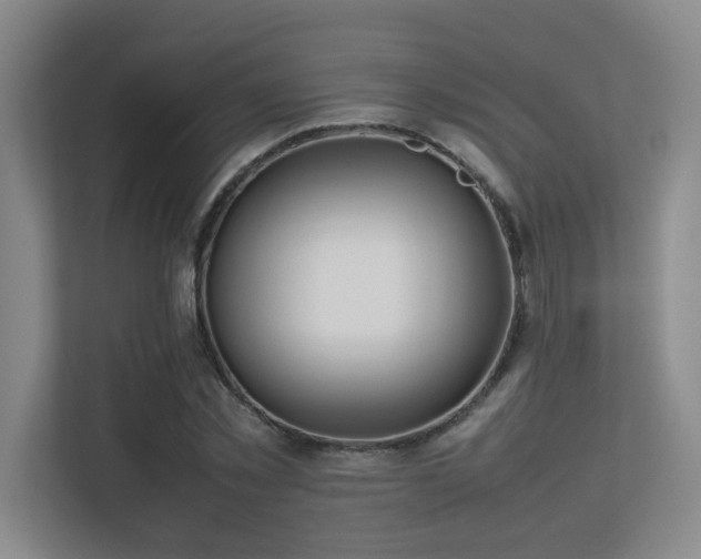 X0000113210781200909101131