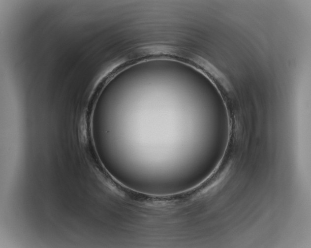 X0000113210782200909101131