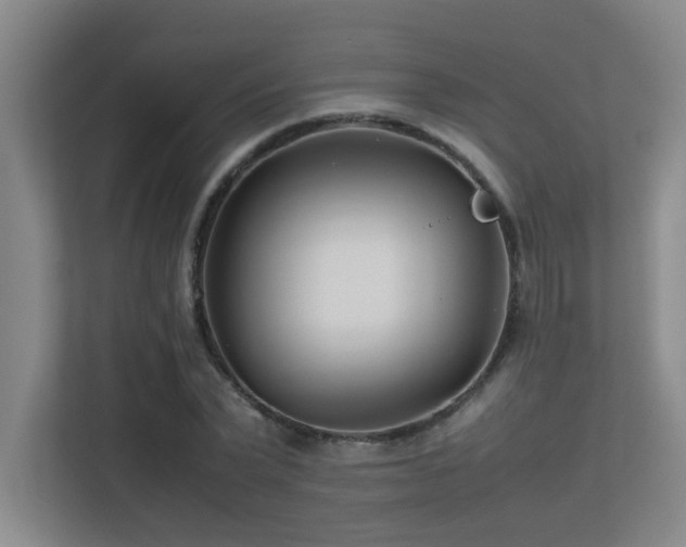 X0000113210783200909101131