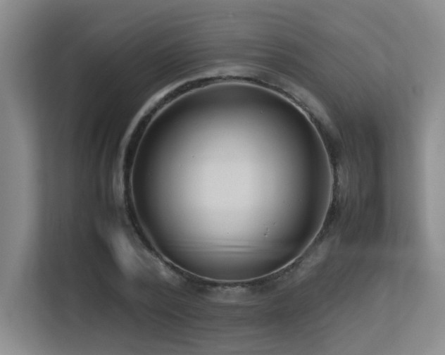 X0000113210784200909101131