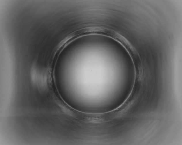 X0000113210786200909101131