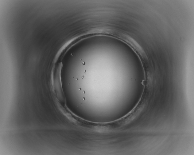 X0000113210788200909101131