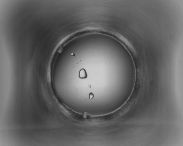 X0000113210791200909101131