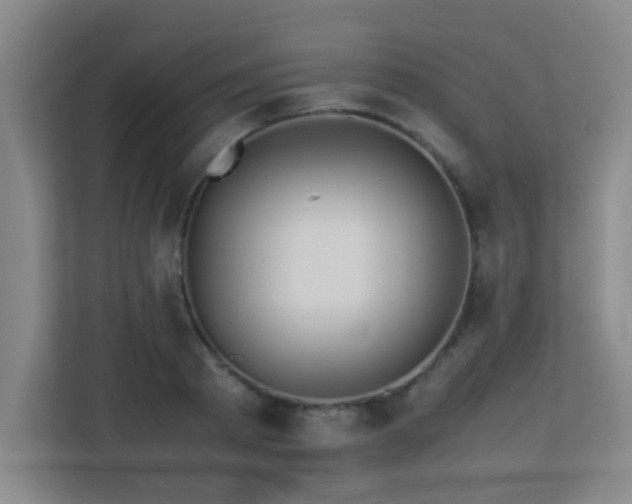 X0000113210793200909101131