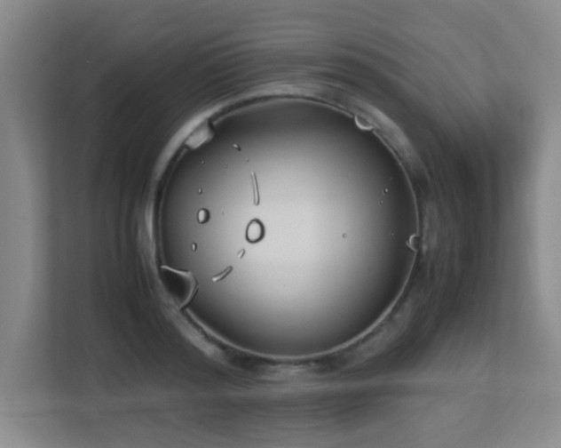 X0000113210796200909101131