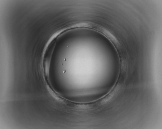 X0000113210800200909101131