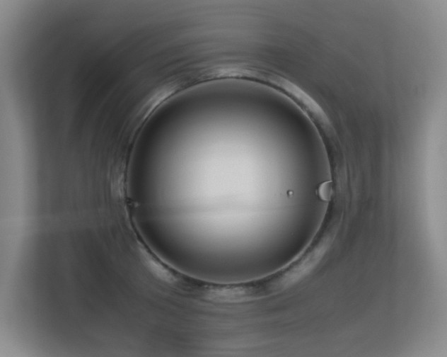 X0000113210801200909101131