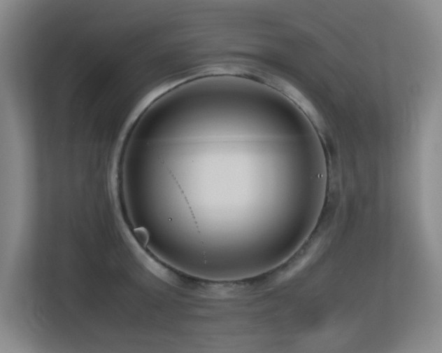 X0000113210803200909101131