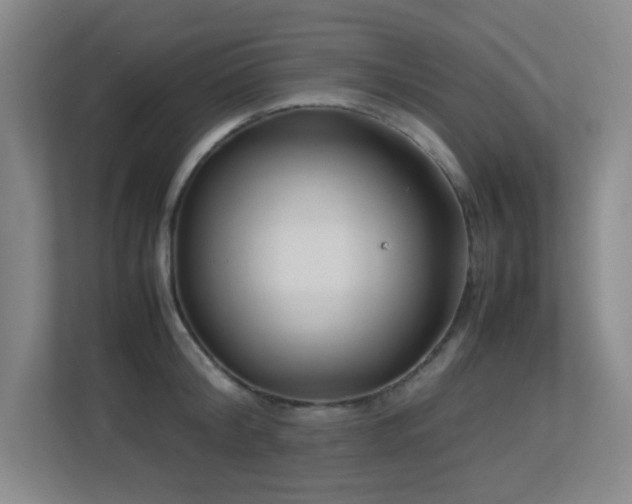 X0000113210804200909101131