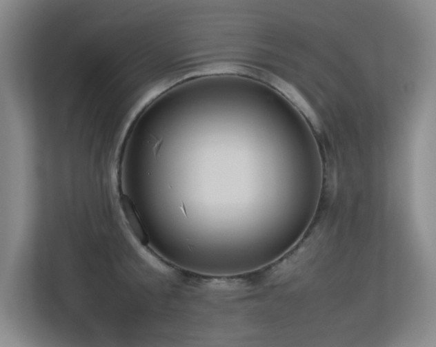 X0000113210805200909101131