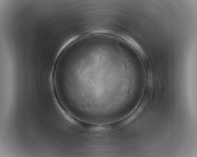 X0000113210806200909101131