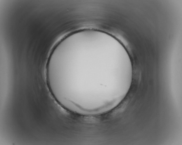 X0000113210807200909101131